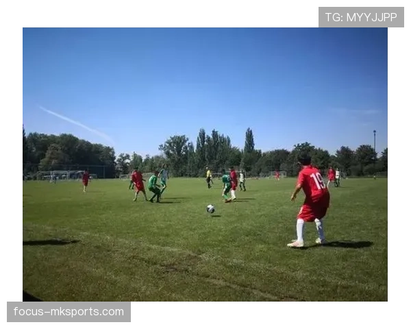 捷克1996亚军状态回顾，值得关注的辉煌足球历程分析