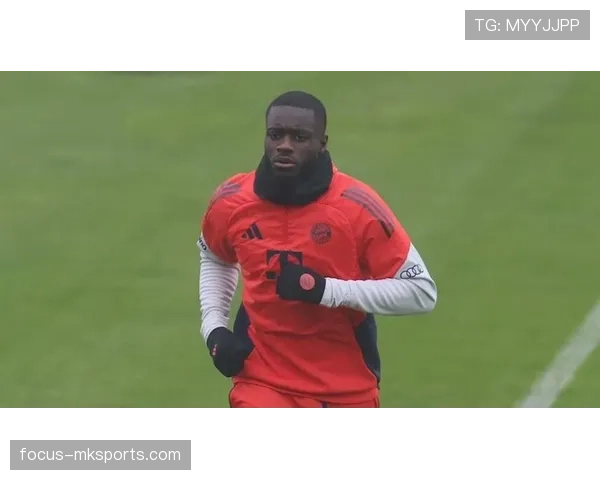 法国后防乌帕梅卡诺